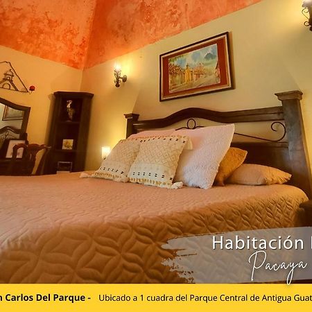 Posada De San Carlos Del Parque Antigua Bagian luar foto