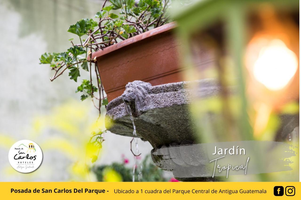 Posada De San Carlos Del Parque Antigua Bagian luar foto